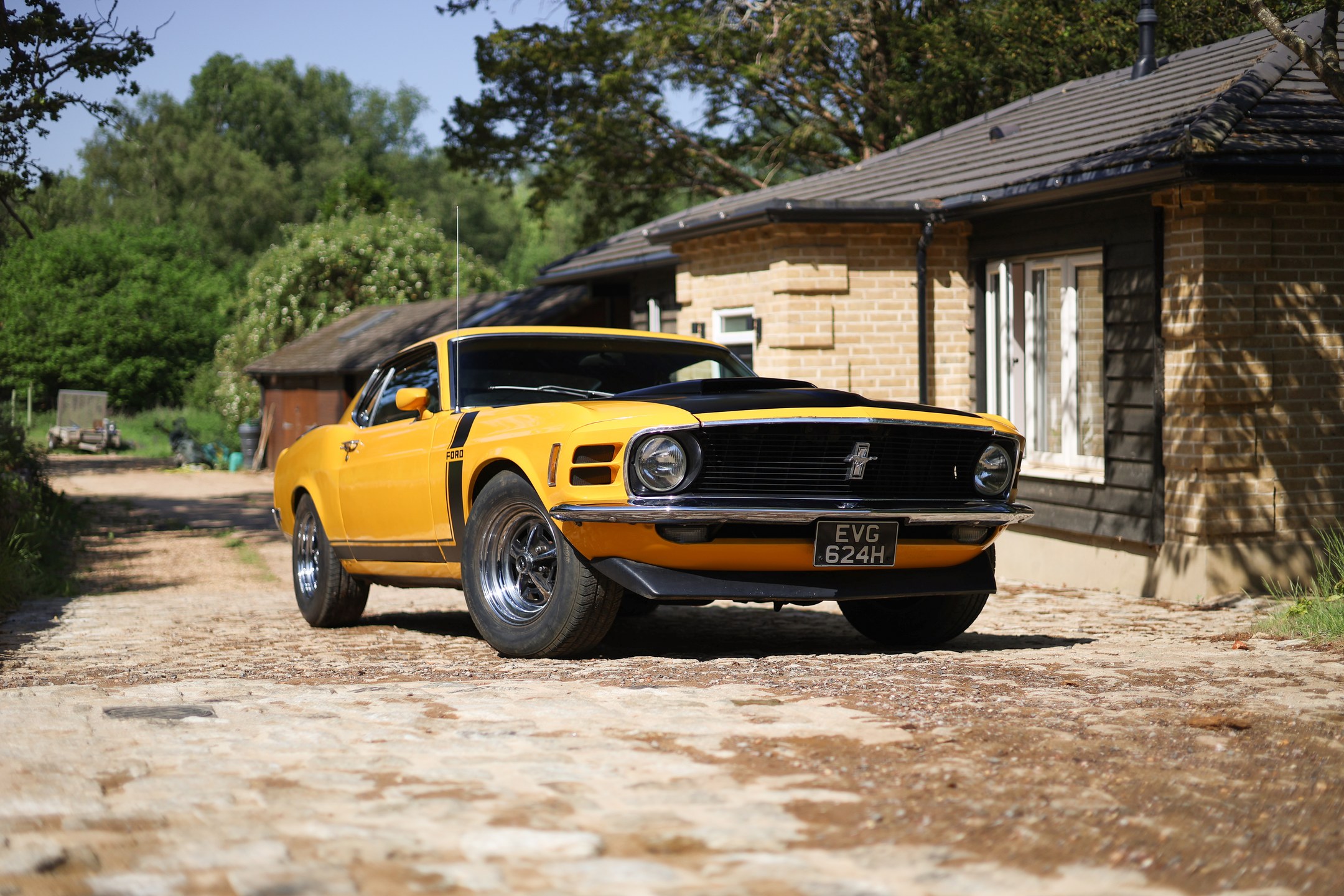 Photo 1 of 12 of 1970 Ford Mustang 302CI 4.8L Fastback