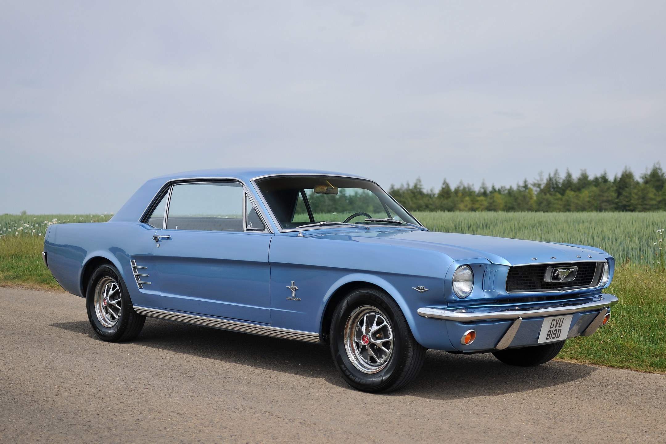 Photo 1 of 12 of 1966 Ford Mustang 'Notchback'