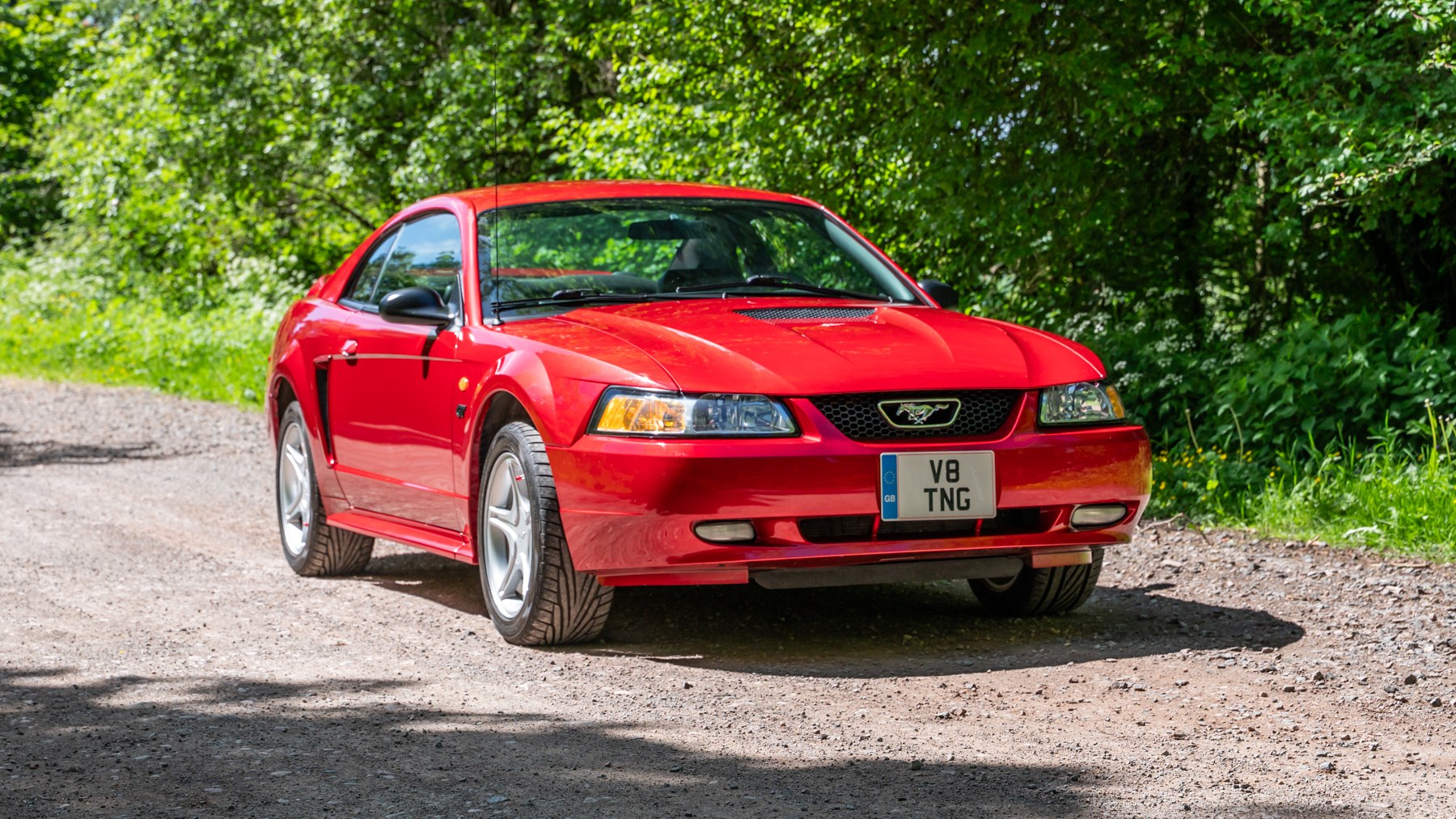 Photo 1 of 12 of 2000 Ford Mustang GT 4.6L V8 Manual Mk4 SN95