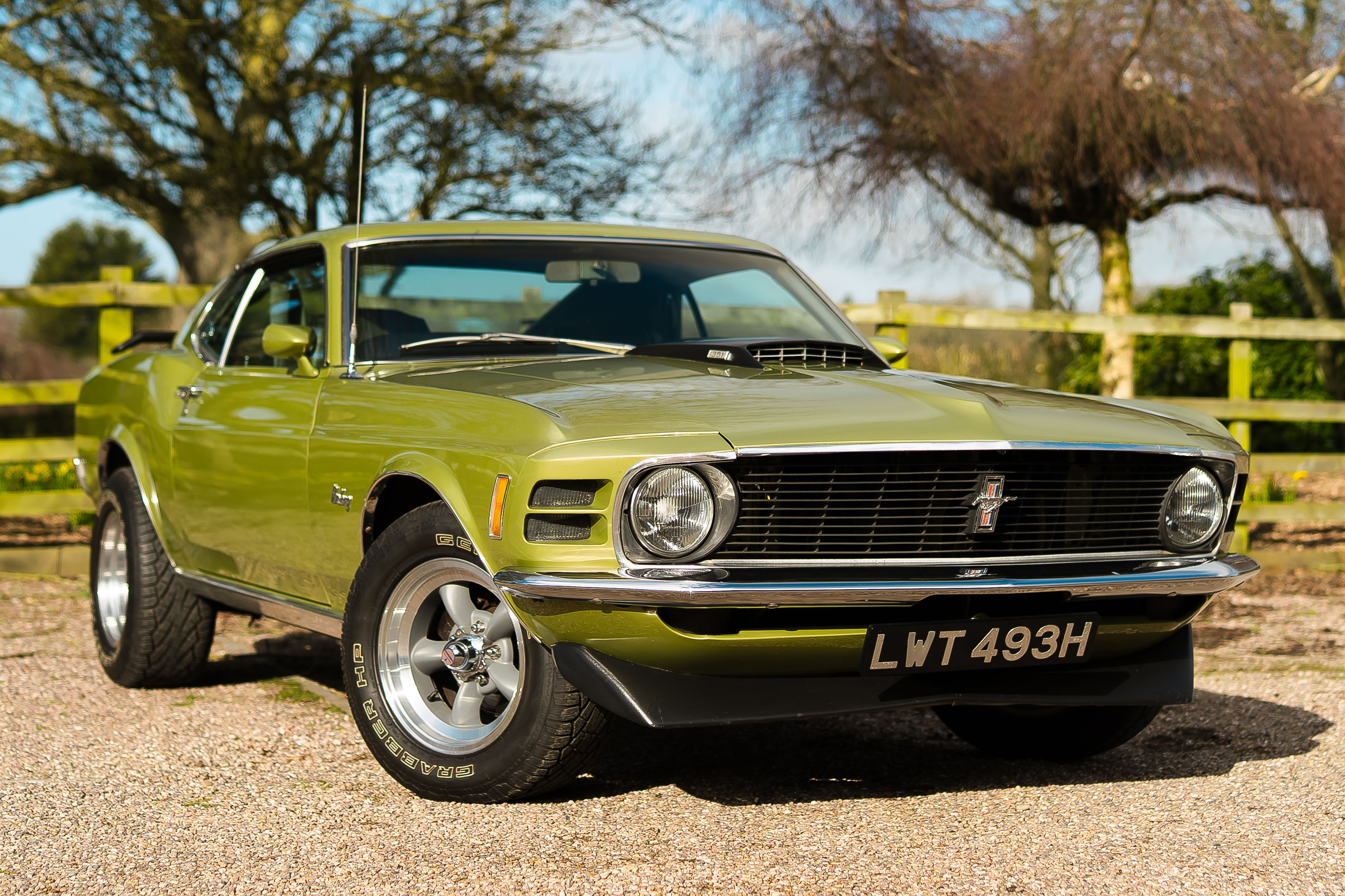 Photo 1 of 12 of 1970 Ford Mustang Fastback