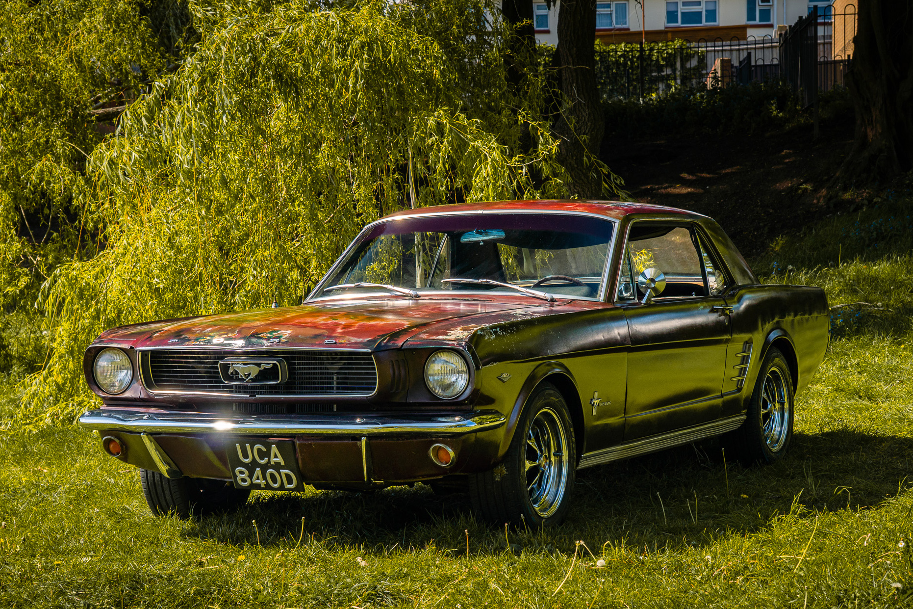 Photo 1 of 12 of 1966 Ford Mustang Hardtop - LHD